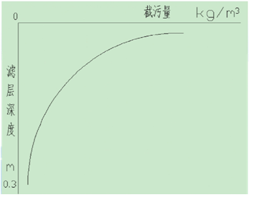 反粒度滤池